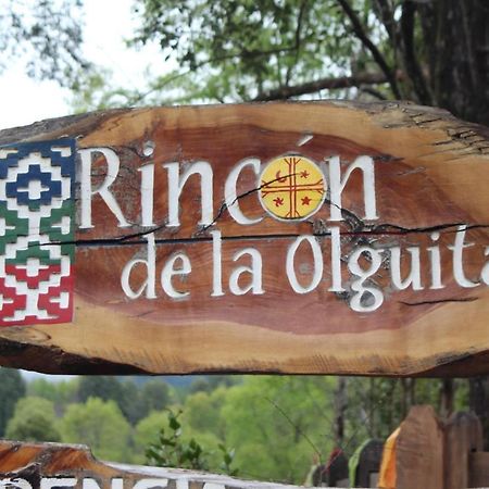 El Rincon De La Olguita Villa Curacautín Exterior foto